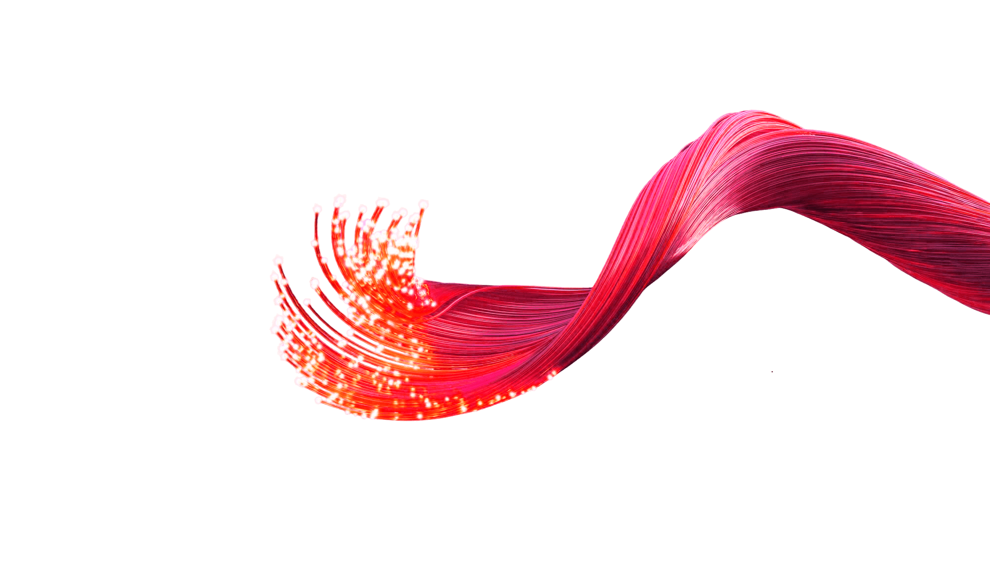 fibra